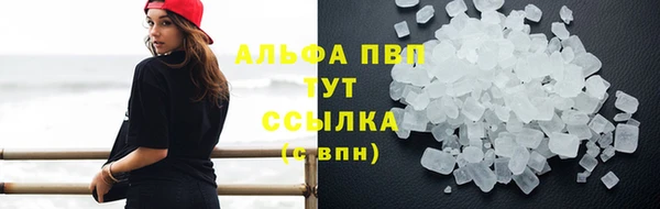 СК Надым